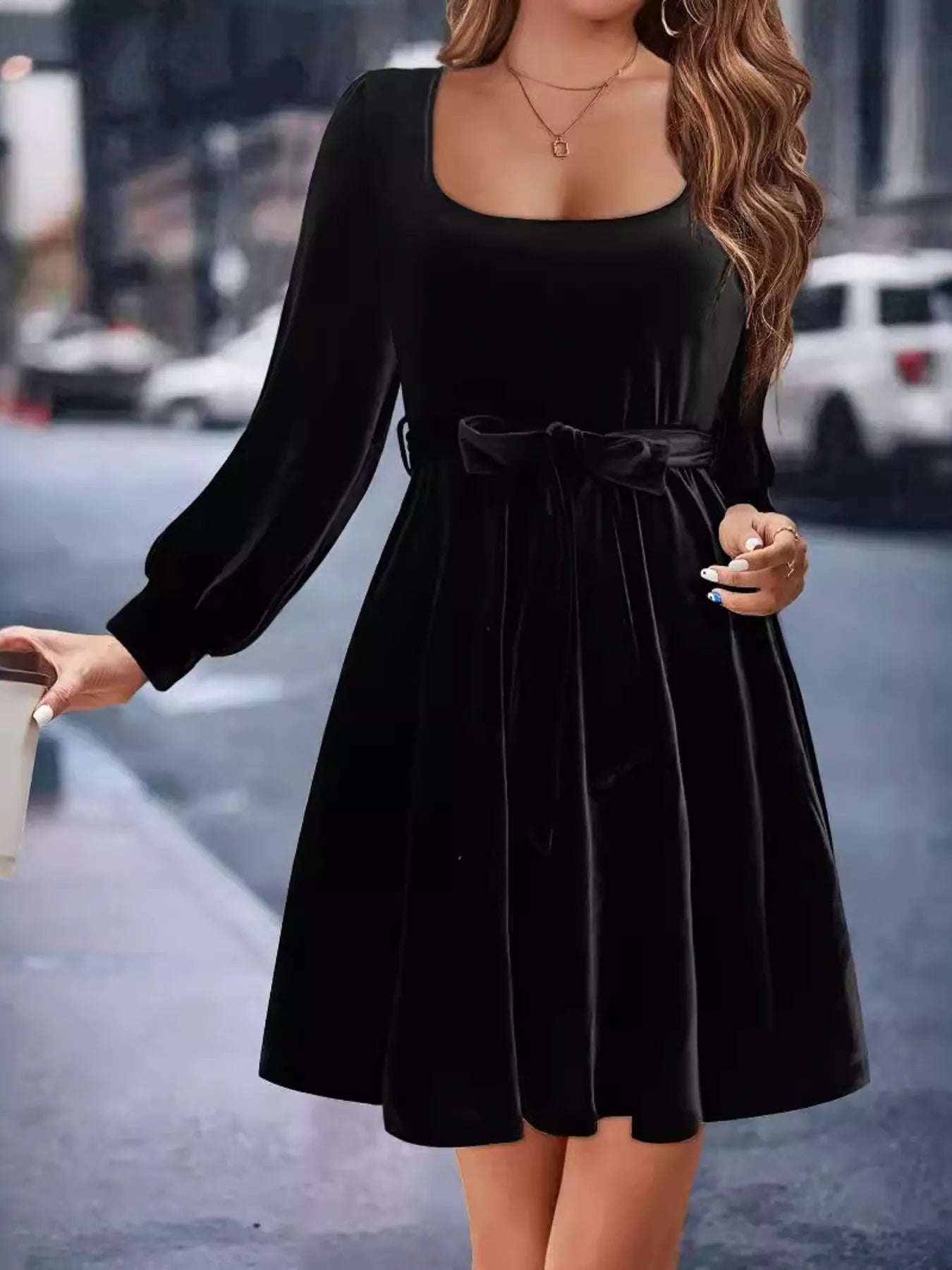 Velvet Long Sleeve A-Line Dress