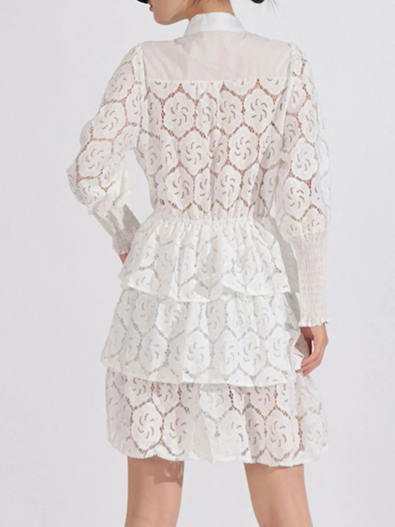 Full Size Lace Layered Long Sleeve Dress Plus Size