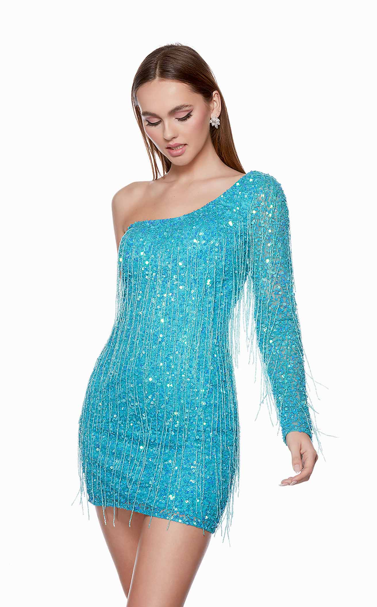Alyce 4646 Dress