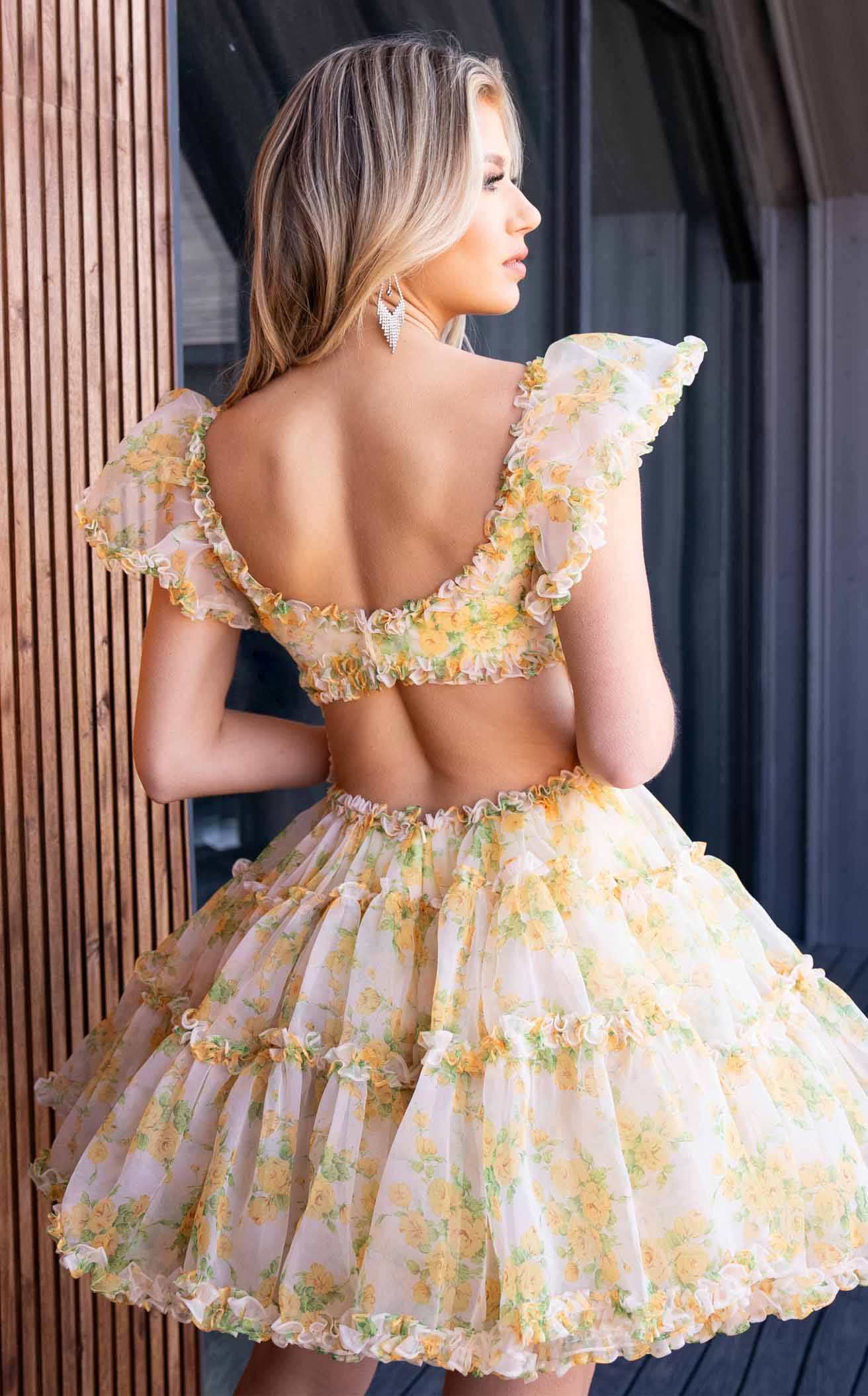 Rachel Allan 40408 Dress