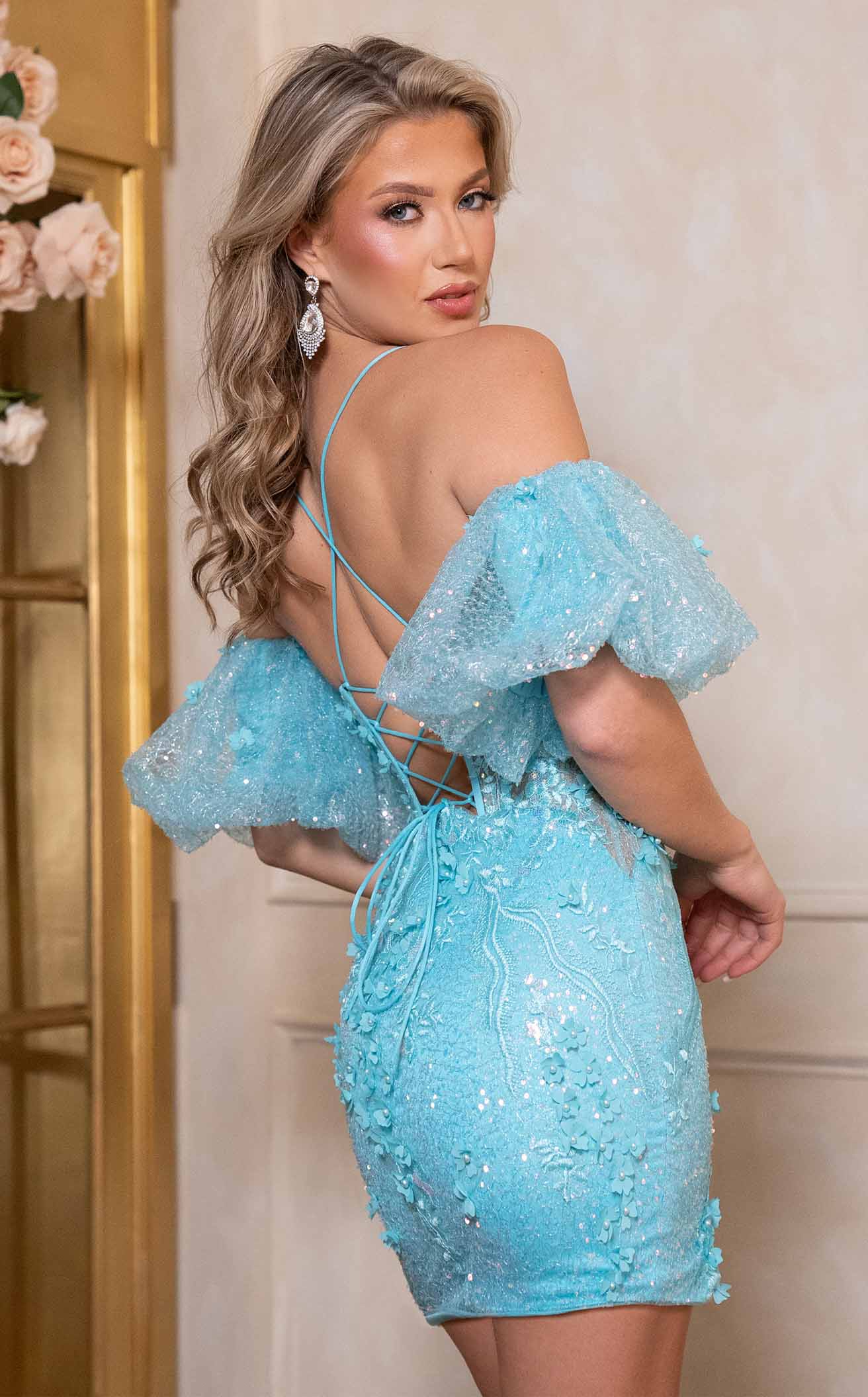 Rachel Allan 40482 Dress