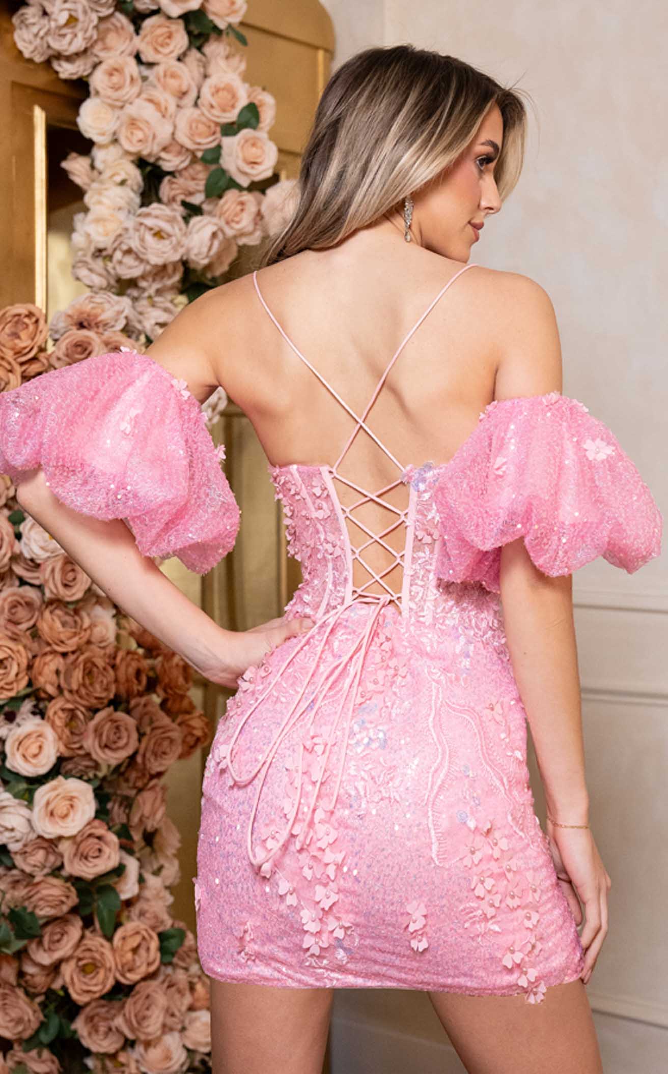 Rachel Allan 40482 Dress