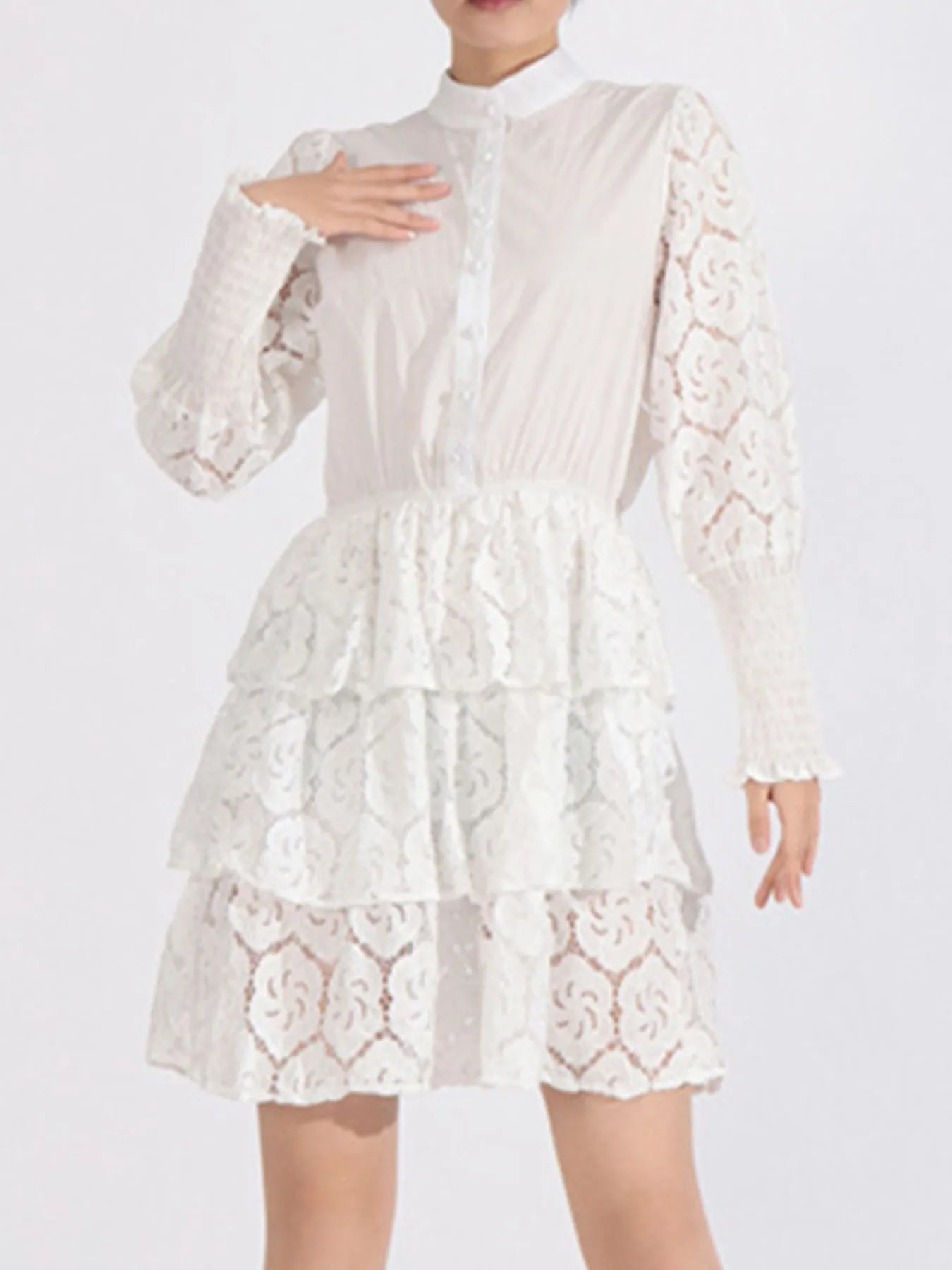 Full Size Lace Layered Long Sleeve Dress Plus Size