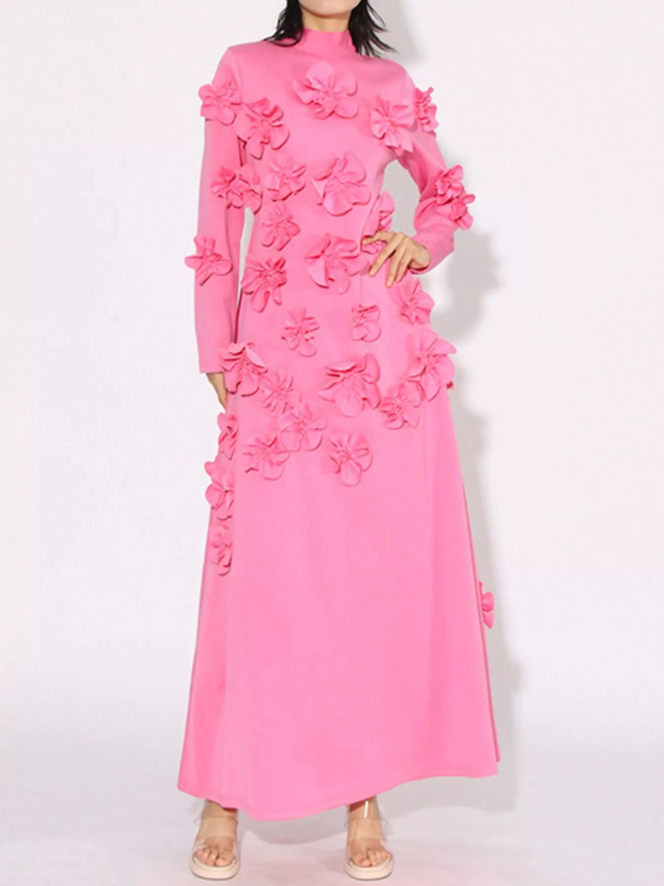 Floral Applique Long Sleeve Maxi Dress